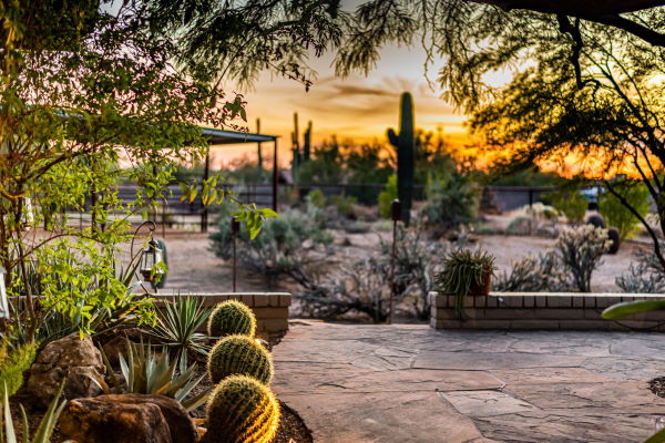 Home Management Scottsdale, AZ Home Management Scottsdale, AZ